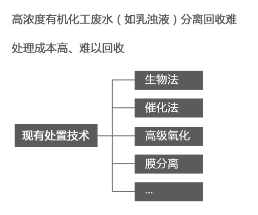 现有处置技术