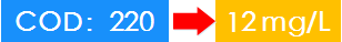 COD：220&mdash;&mdash;12mg/L